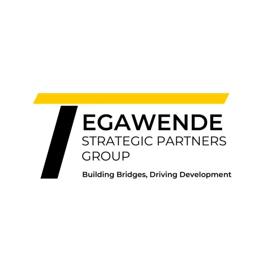 Tegawende Stategic Partners Group